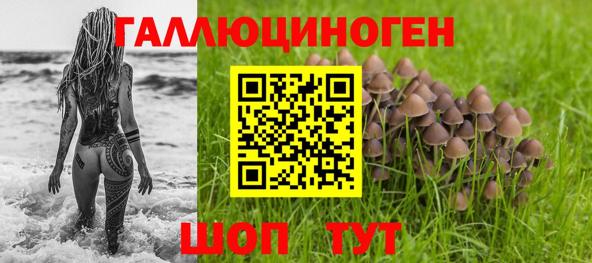 Галлюциногенные грибы Psilocybine cubensis Асбест