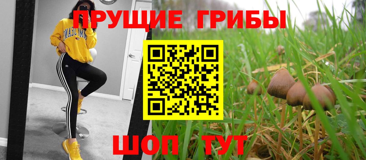 Асбест  сколько стоит  Вход с VPN  Галлюциногенные грибы Psilocybine cubensis 